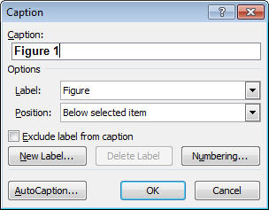 word07_insert_caption_02